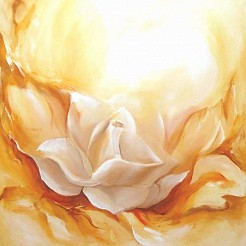 White rose geschilderd door Elra Heus - de Graaf